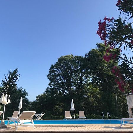 Appartamento Lussuoso 2 In Villa Riccardo Barga Ngoại thất bức ảnh